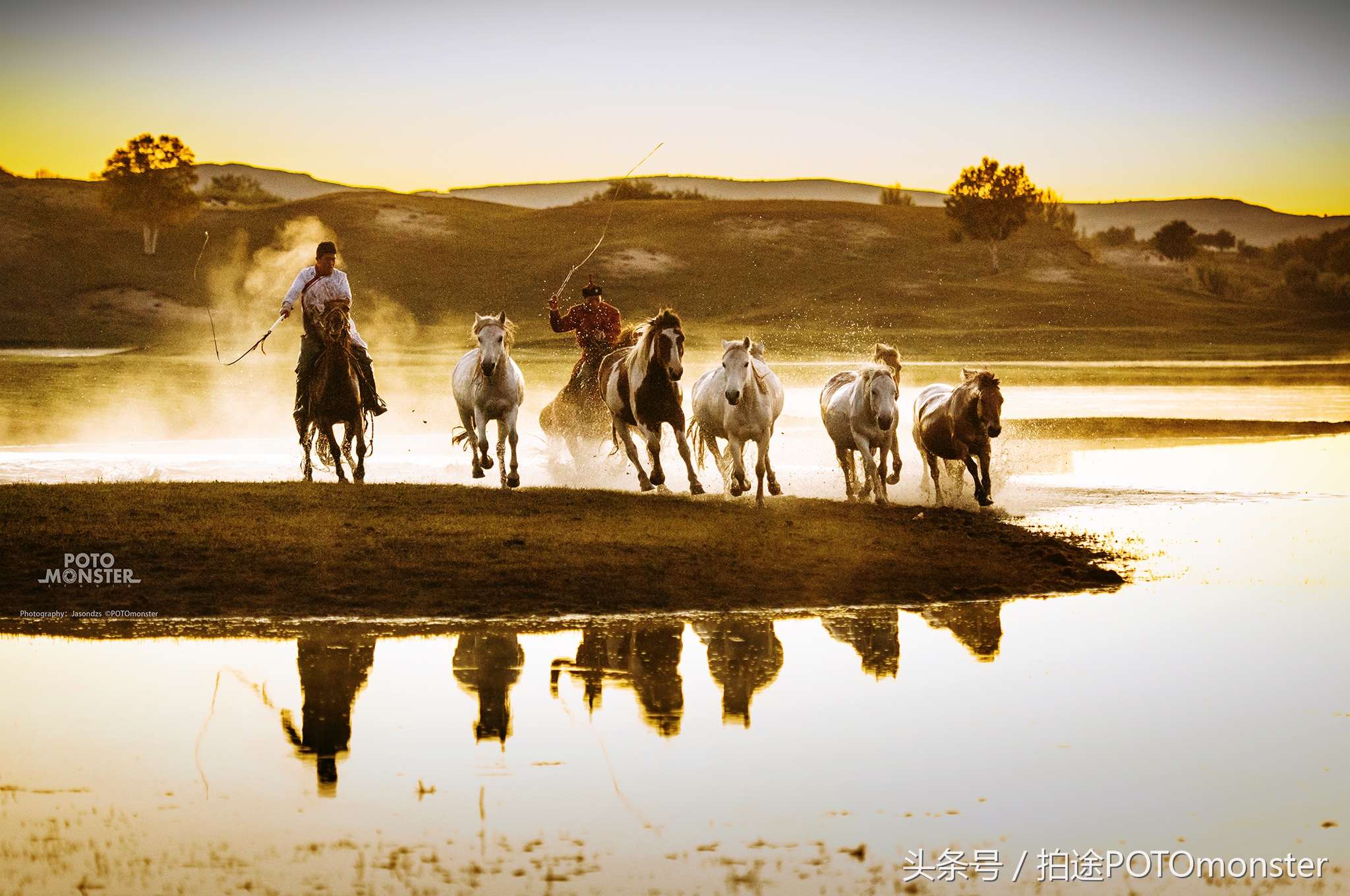 坝上草原奔马摄影作品,坝上草原拍奔马