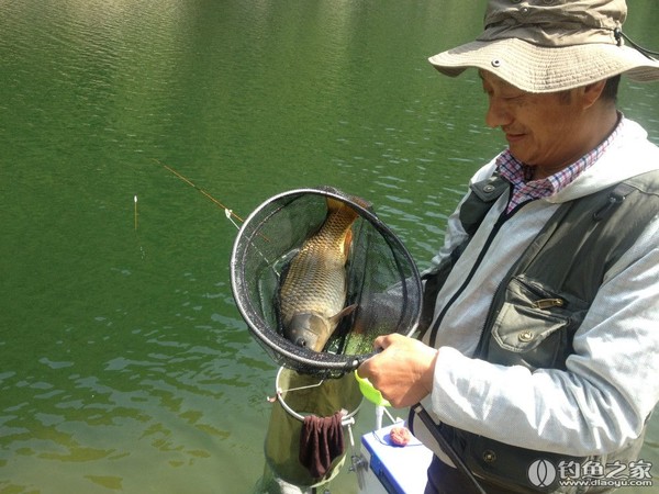 探钓野生鱼视频,探钓野生水库