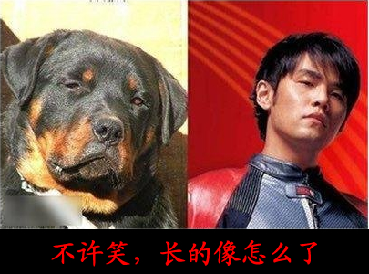 内涵段子，搞笑笑话：不许笑，长的像怎么了