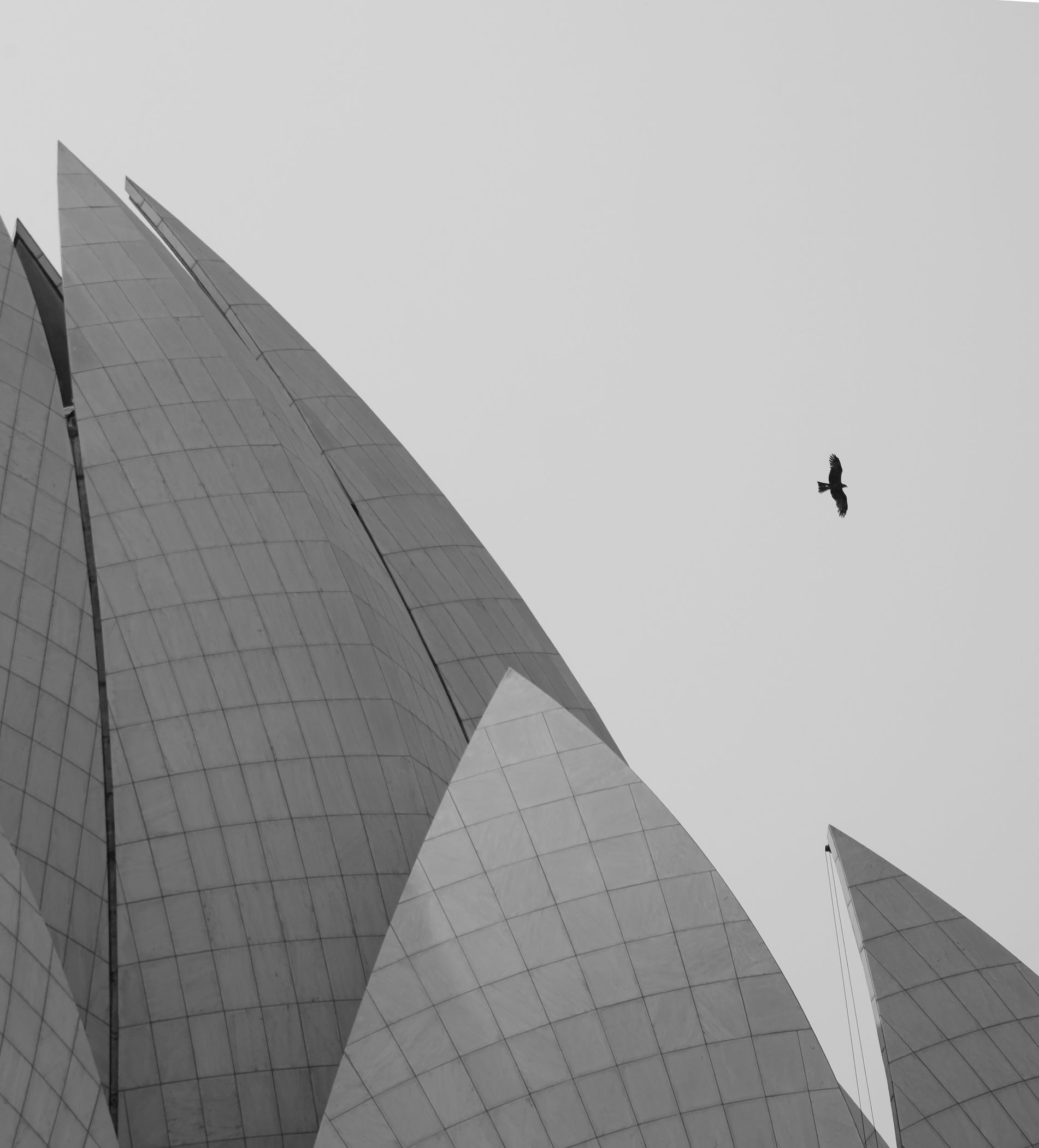 走去哪里粤语,去哪走天竺