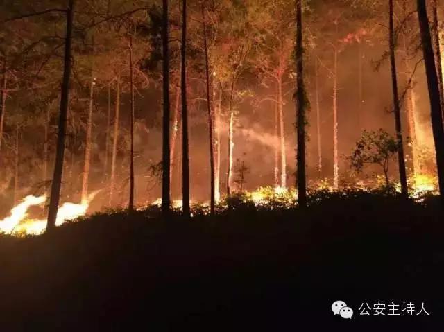 清明注意安全,清明时节交通注意事项