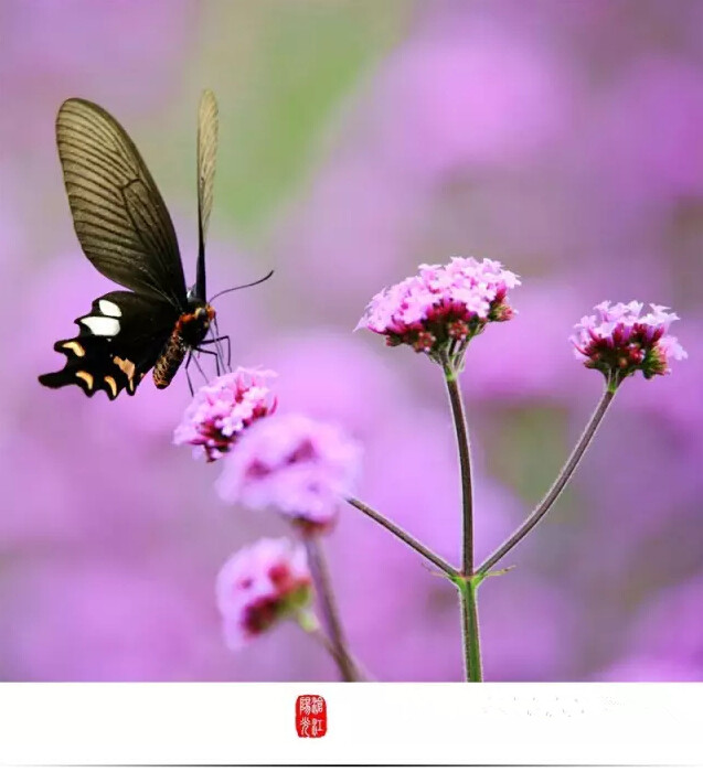 云南临沧美景图片,云南临沧旅行风景