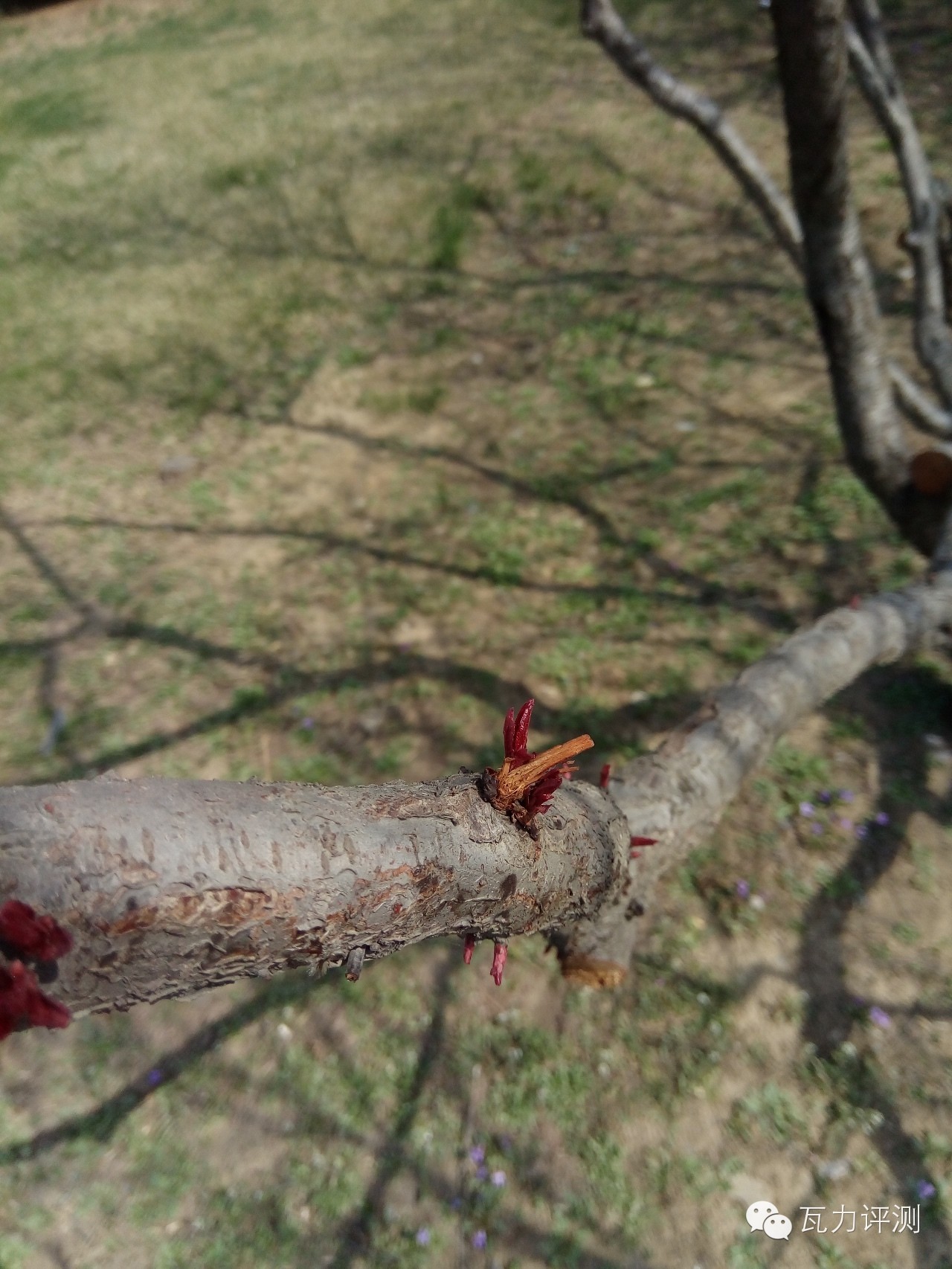 360f4高配版手机怎么样,360f4手机最新评论