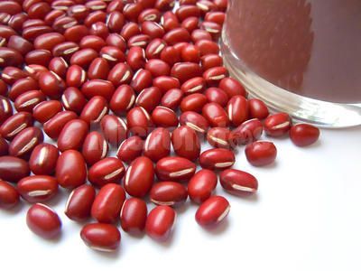 每天食豆三钱,每日吃大豆多少合适