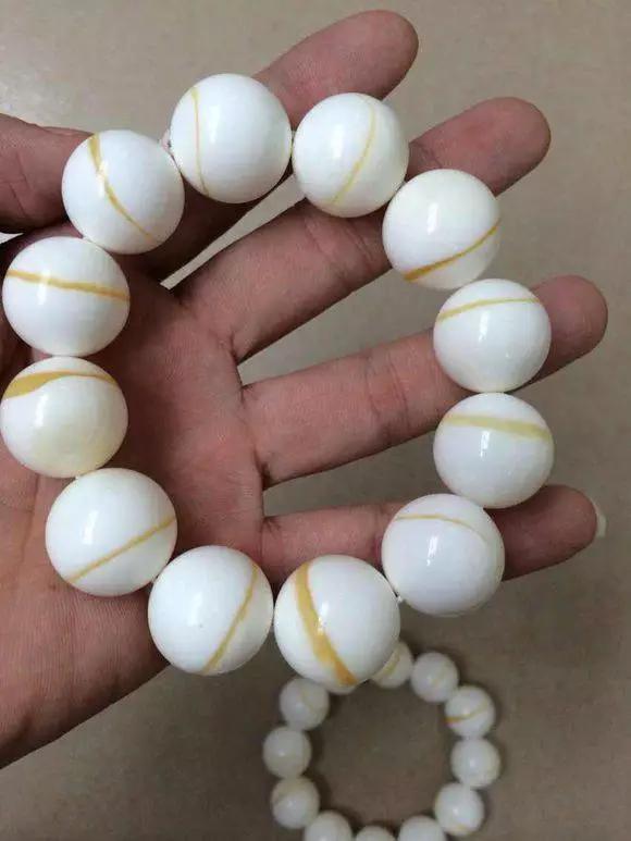 砗磲玩久了以后会有什么变化,砗磲放久了出现了黄点