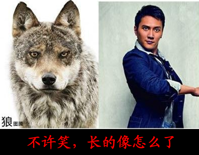 内涵段子，搞笑笑话：不许笑，长的像怎么了