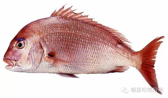 来一口甜口味的春天,来一口春天的味道