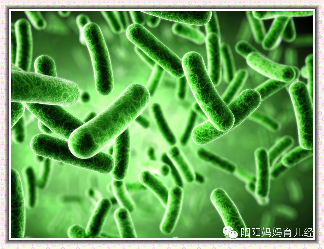 养孩子每天消毒,养孩子是干净点好还是脏点好