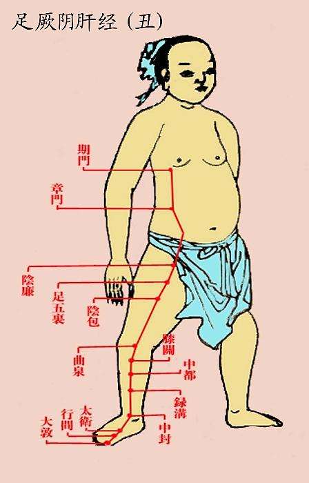 十四条经络讲解,十四经循行路线歌诀讲解