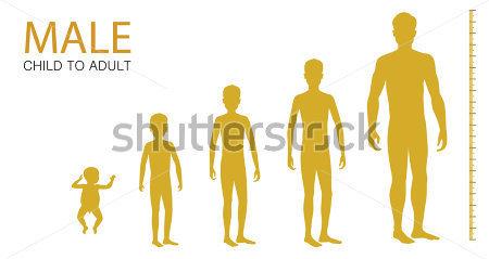 红楼梦小戏骨长大后拍的剧叫什么,小戏骨儿童版红楼梦
