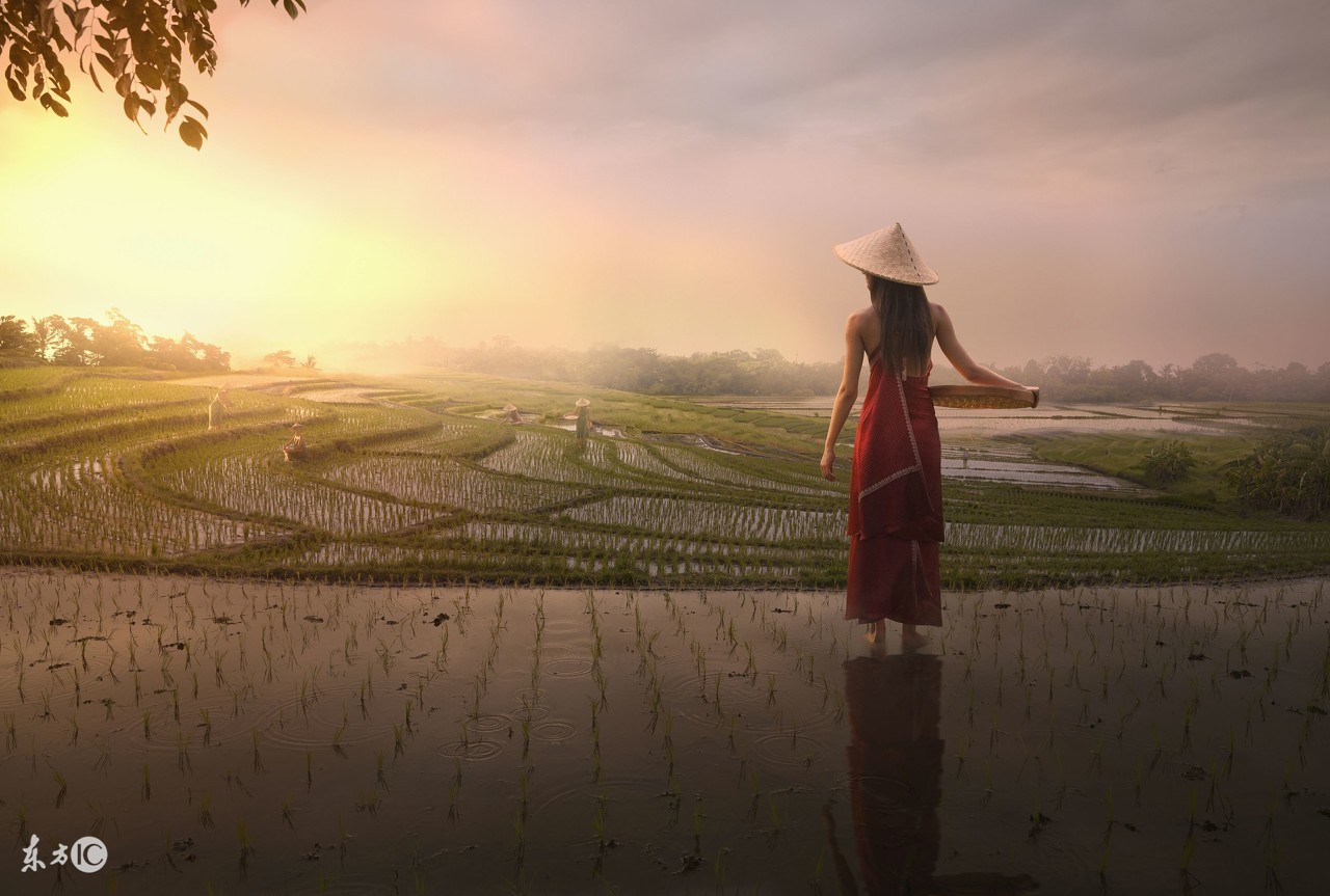 心灵鸡汤小故事,心灵鸡汤小故事300字左右