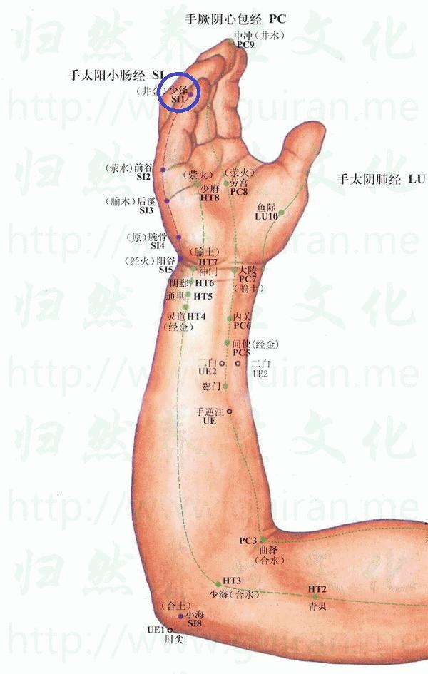 人体少泽穴位置,人手面上的穴位图