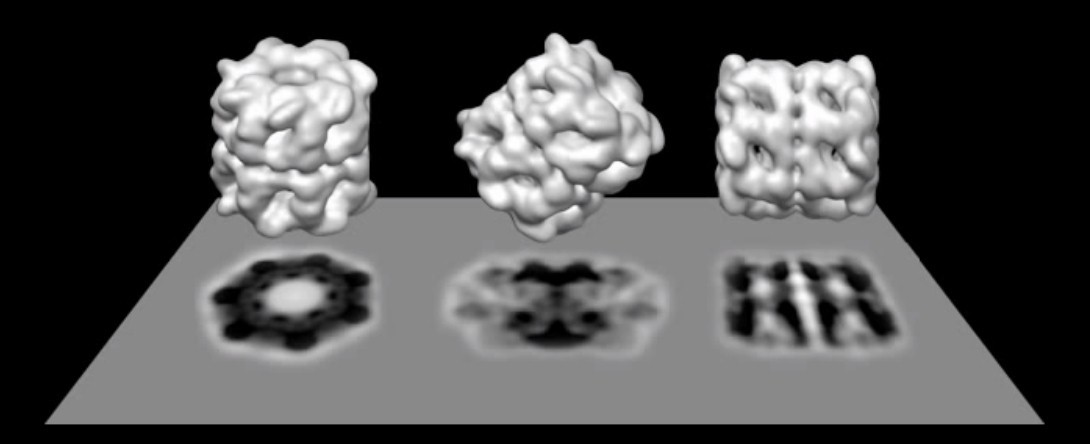 冷冻电镜哪年获得诺贝尔奖,冷冻电镜诺奖获得者的贡献