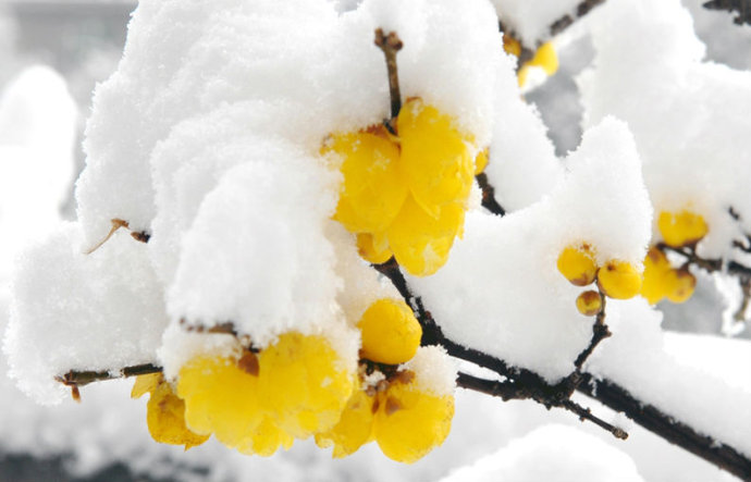 十劝世人大实话完整版,十劝世人大实话