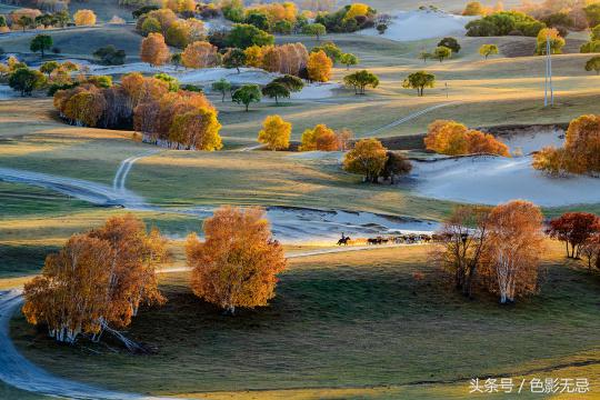 尼康d850配适马85mmf1.4art,适马小黑五代尼康d850