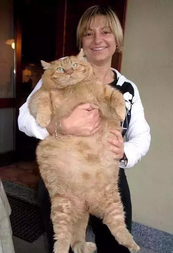 瀵圭尗鐨勮瑙ｅお娣变簡,甯︿綘鍏ㄩ潰浜嗚В姗樼尗