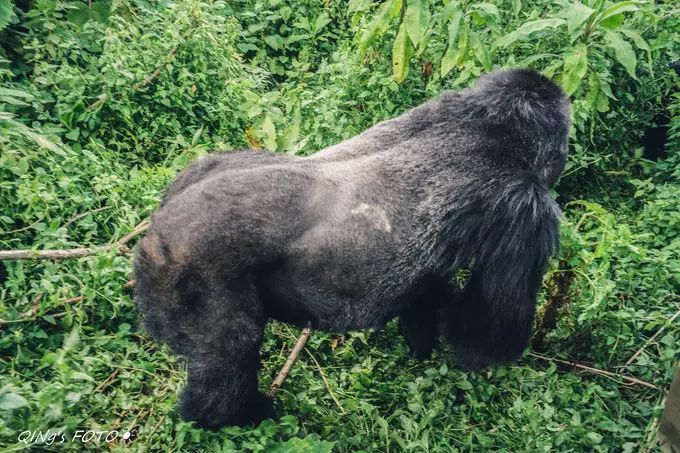 750块钱可以干什么,750块钱能干什么