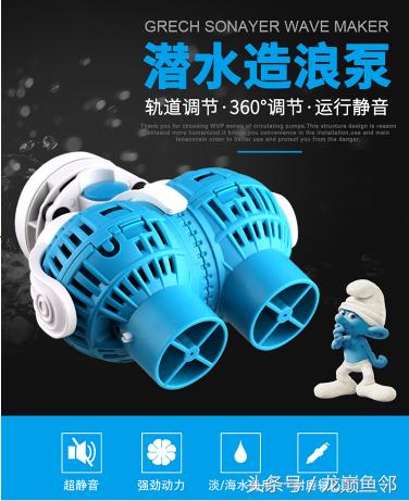 龙鱼怎么喂食能保持体型,龙鱼怎么塑造体型