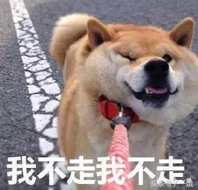 400万的鹿晗,鹿晗镜头里的关晓彤