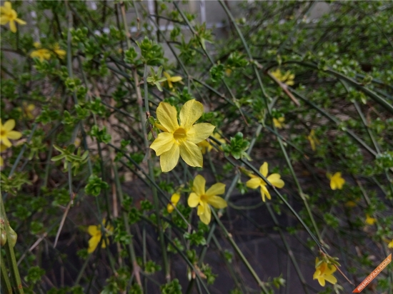 360f4手机高配版,360手机f4值不值得买