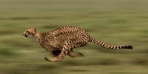 腾豹3.0发动机,腾豹3.0发动机百公里油耗