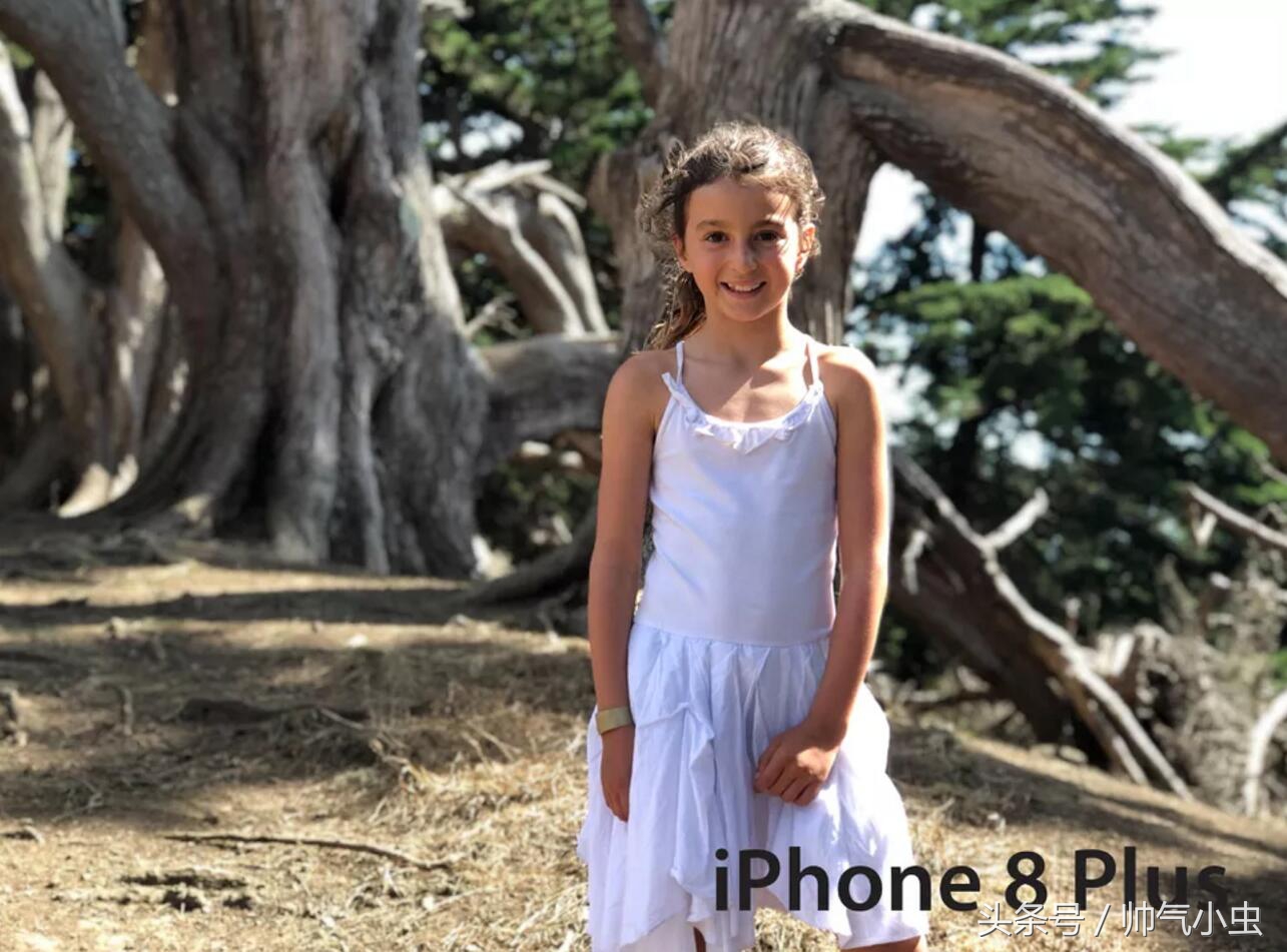 小米6spro拍照多少倍变焦,小米6是双摄像头