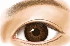 好看的双眼皮必须具备以下几点,真正做的好看的双眼皮是什么样子