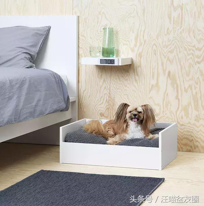 宜家宠物家具效果图,宜家的宠物家居