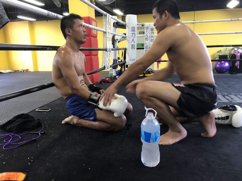 张成龙glory冠军,glory张成龙完整版