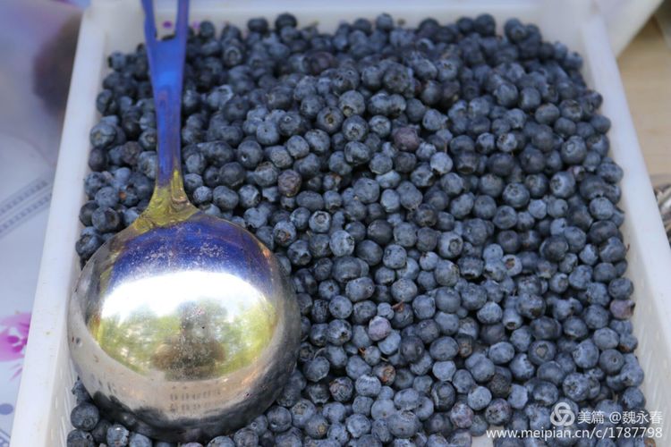 旅游、度假、休闲娱乐为一体的内蒙古根河市敖鲁古雅旅游度假村