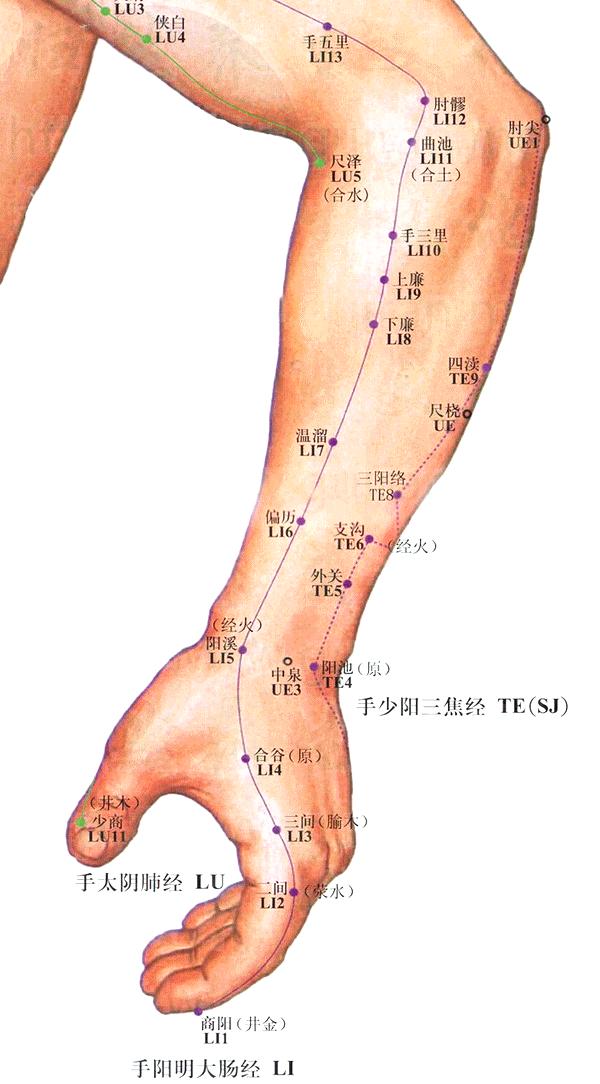 人体穴位大全全身高清穴位图,全身最重要的74个穴位讲解附图