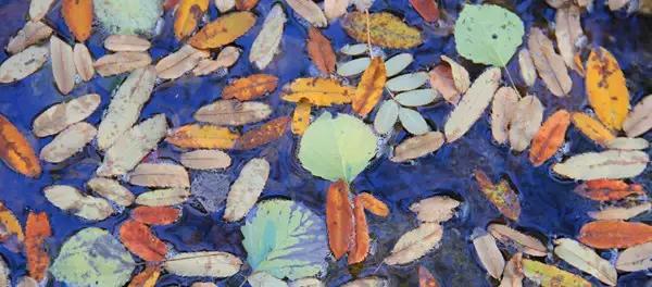 深圳高铁旅游路线分布图,深圳高铁能到达的旅游城市