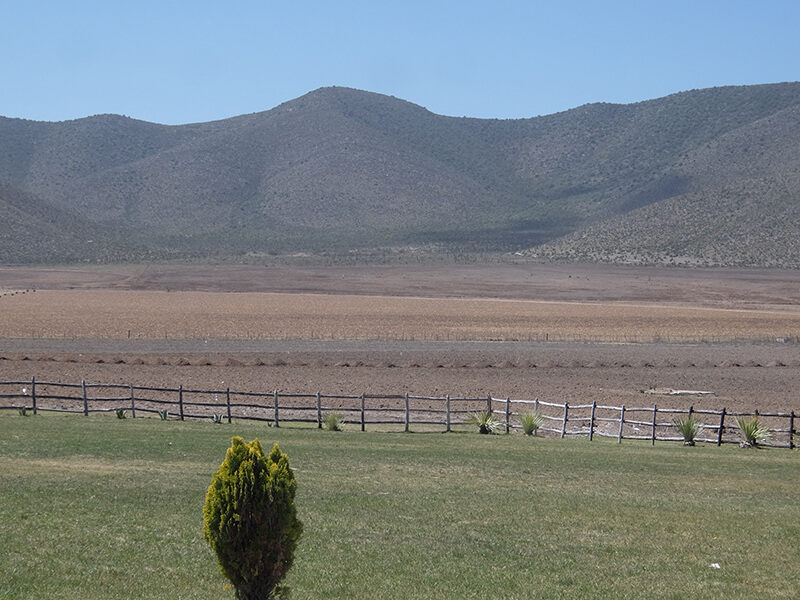 说起来你可能不信，比起龙舌兰和科罗娜，我更爱墨西哥葡萄酒！