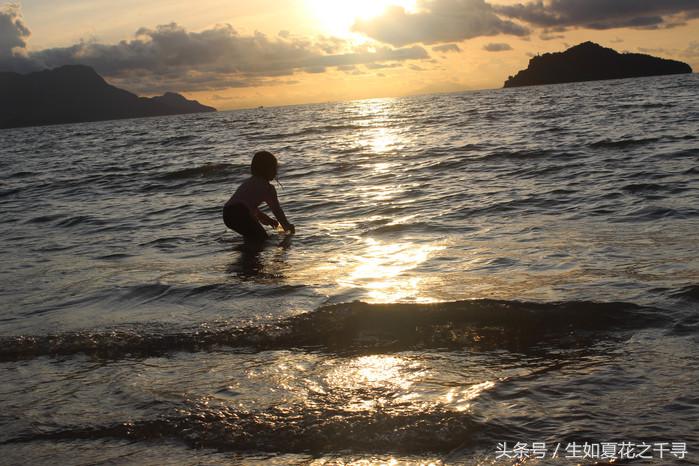 去兰卡威红树林,去兰卡威怎么玩