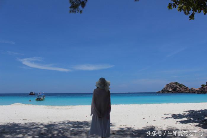 去兰卡威逗小鲨鱼，登嘉楼热浪岛浪一浪