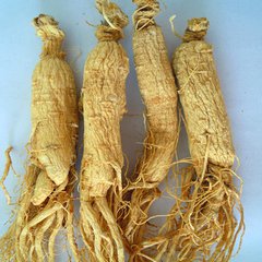 人参怎么选才是好的,都说人参好人参真的有用吗