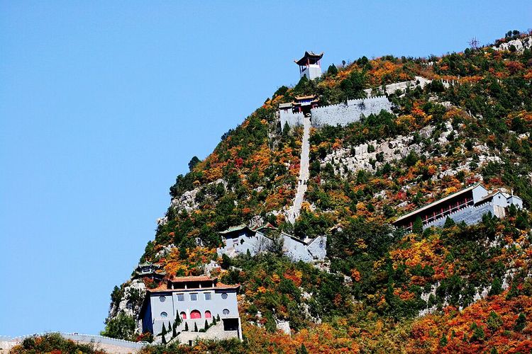 秋韵流过的晋城红