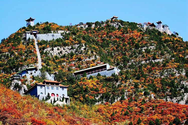 秋韵流过的晋城红