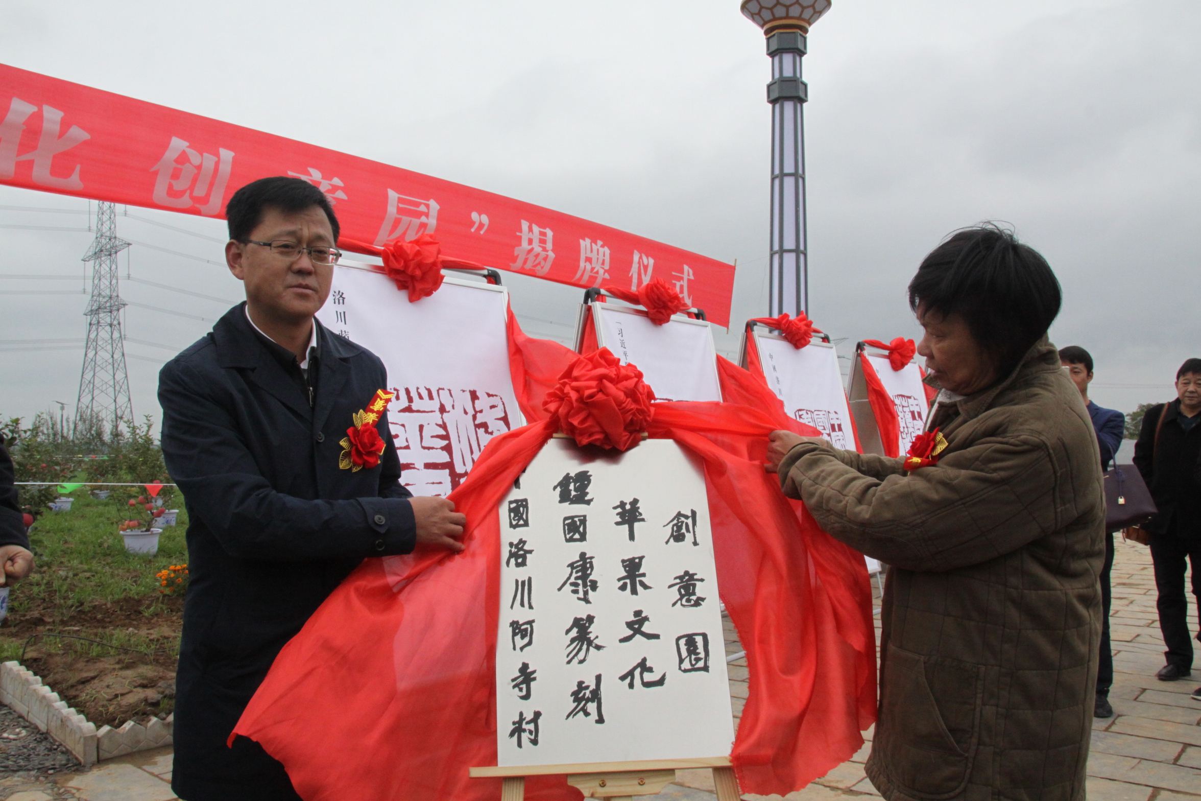 最新的洛川苹果,新的洛川苹果