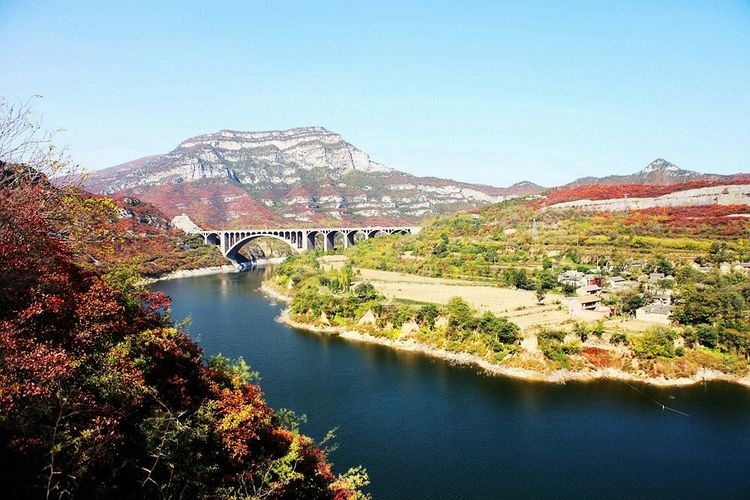 秋韵流过的晋城红