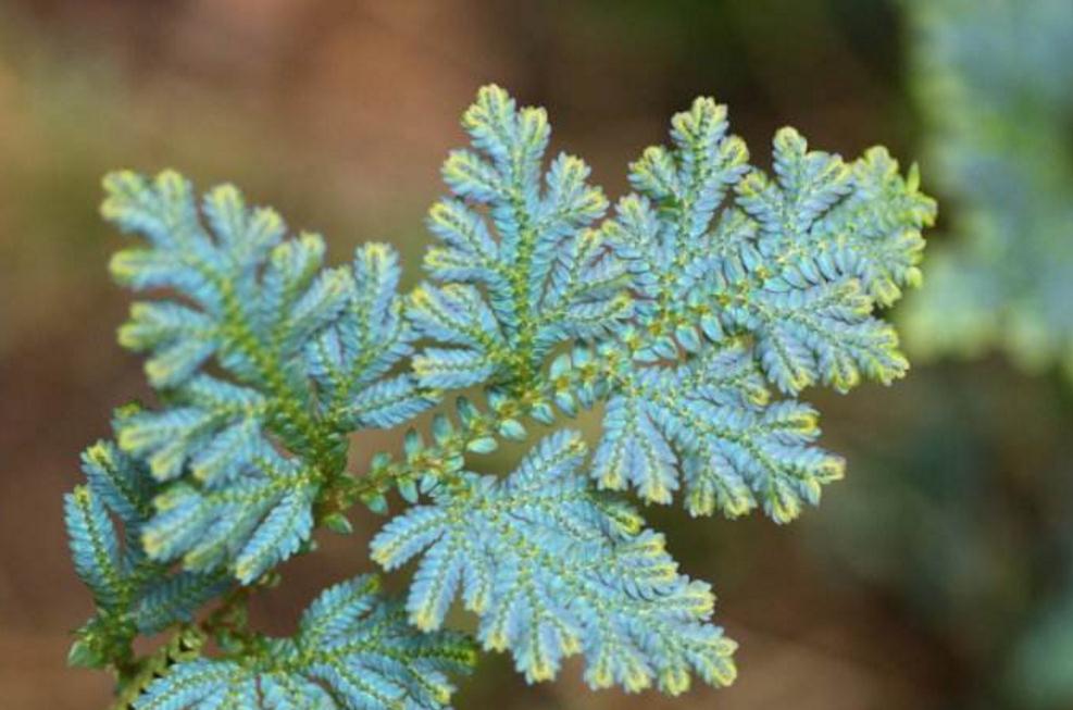 当你一无所有时怎么东山再起,当你一无所有的时候才幡然悔悟