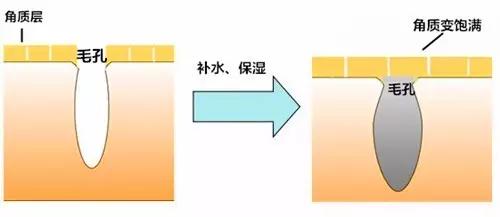 听说你的皮肤毛孔大到能插秧？