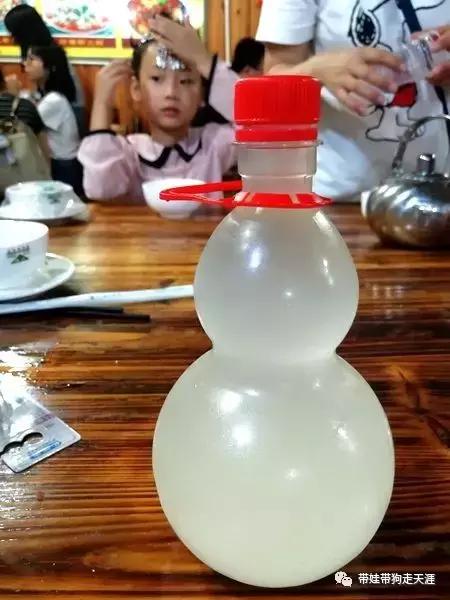 开着房车去遛娃,开着房车带狗狗出去玩