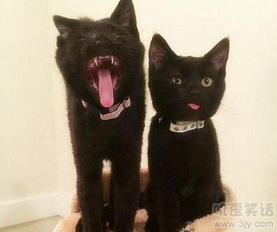 笑话之老师看着考卷上的名字叫着：“林蛋大