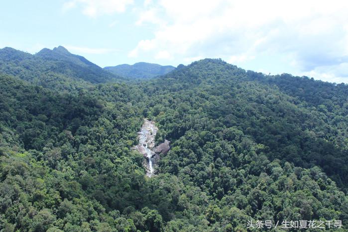 去兰卡威逗小鲨鱼，登嘉楼热浪岛浪一浪