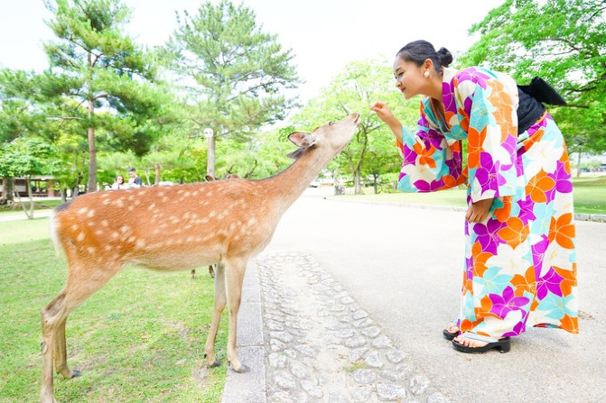 日本的神户牛肉,日本大阪环球影城奈良的鹿