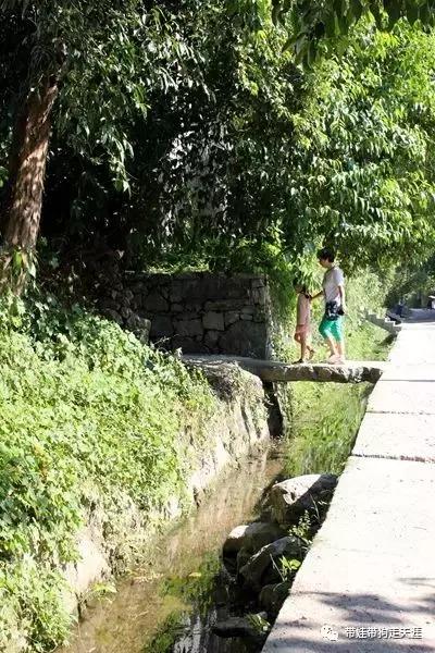 开着房车去遛娃,开着房车带狗狗出去玩