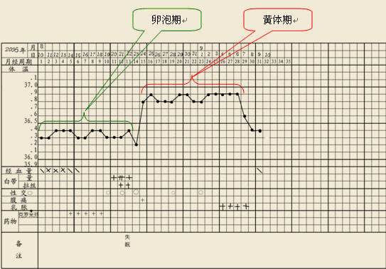 亲爱的，你连这都不懂，再备孕30年也不成！
