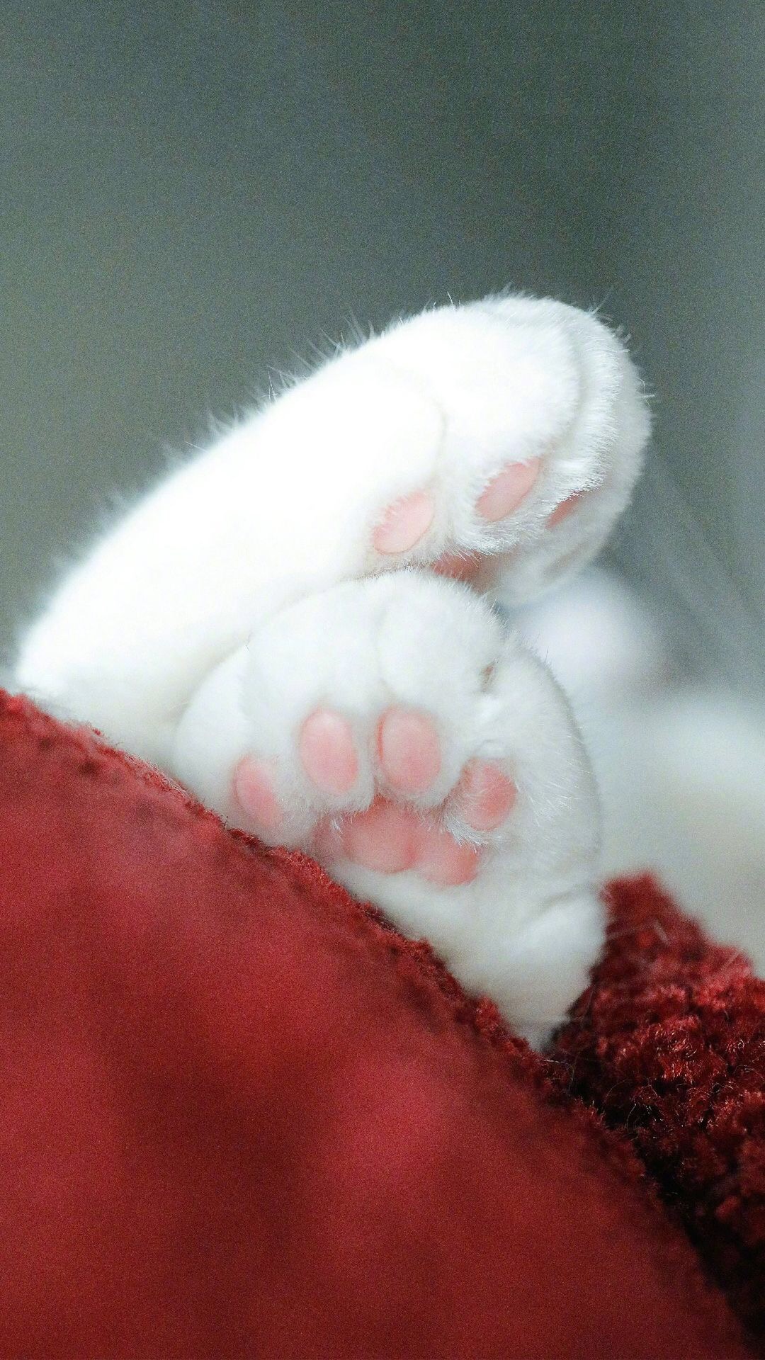 唯美1080×1920P高清壁纸锁屏画面待机背景图！请在wifi环境查看