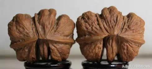 各种各样的文玩核桃图片,各种文玩的核桃图片